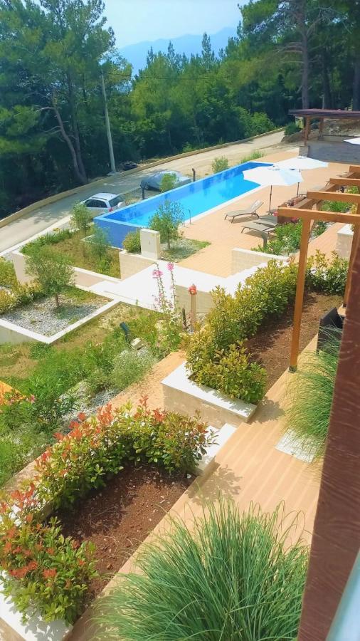 Cozy Apartments With Pool And Splendid Seaview Kavač Екстериор снимка